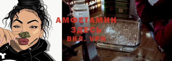 сатива Богородицк
