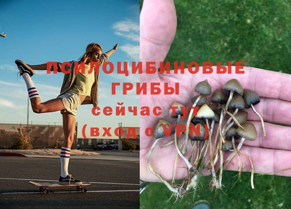 MDMA Сафоново