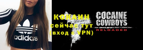бошки Сатка