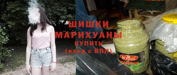 сатива Богородицк